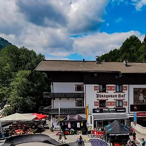 *** Hotel Pinzgauerhof & Bike - Inclusive Evening Dinner Austria