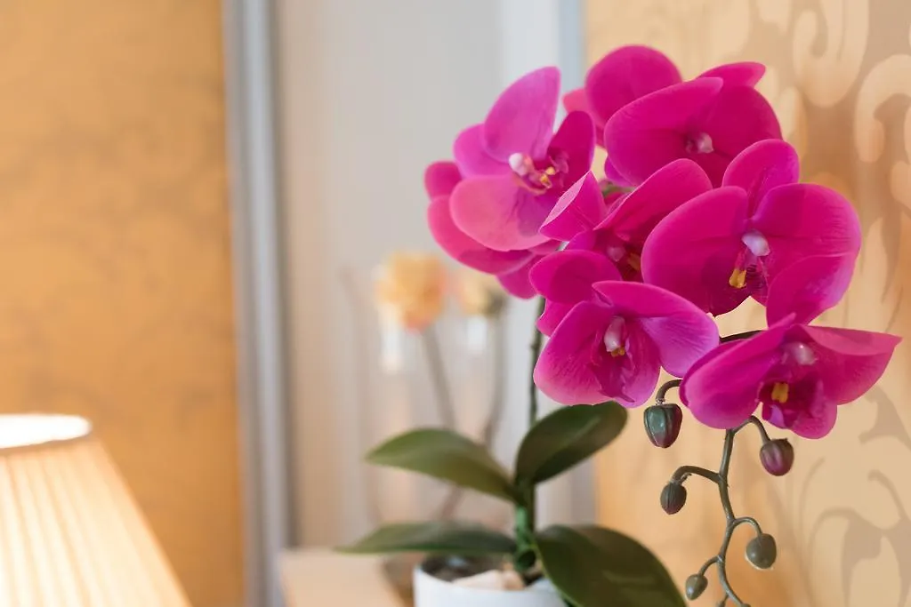 Arenberg Boutique Hotel Zentrum Vienna